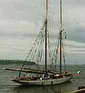 Photo: Sailboat